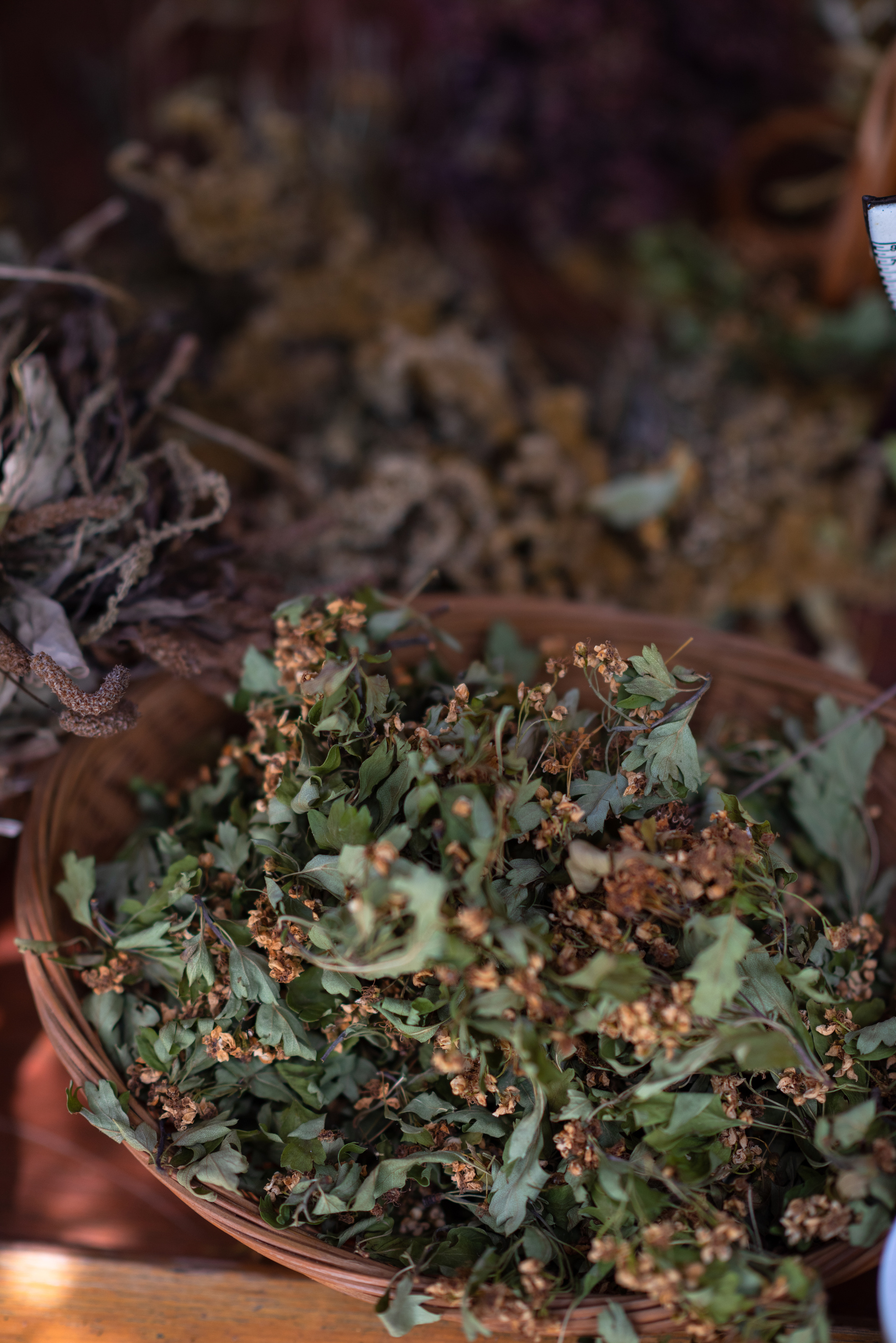 Herbalist Workshop