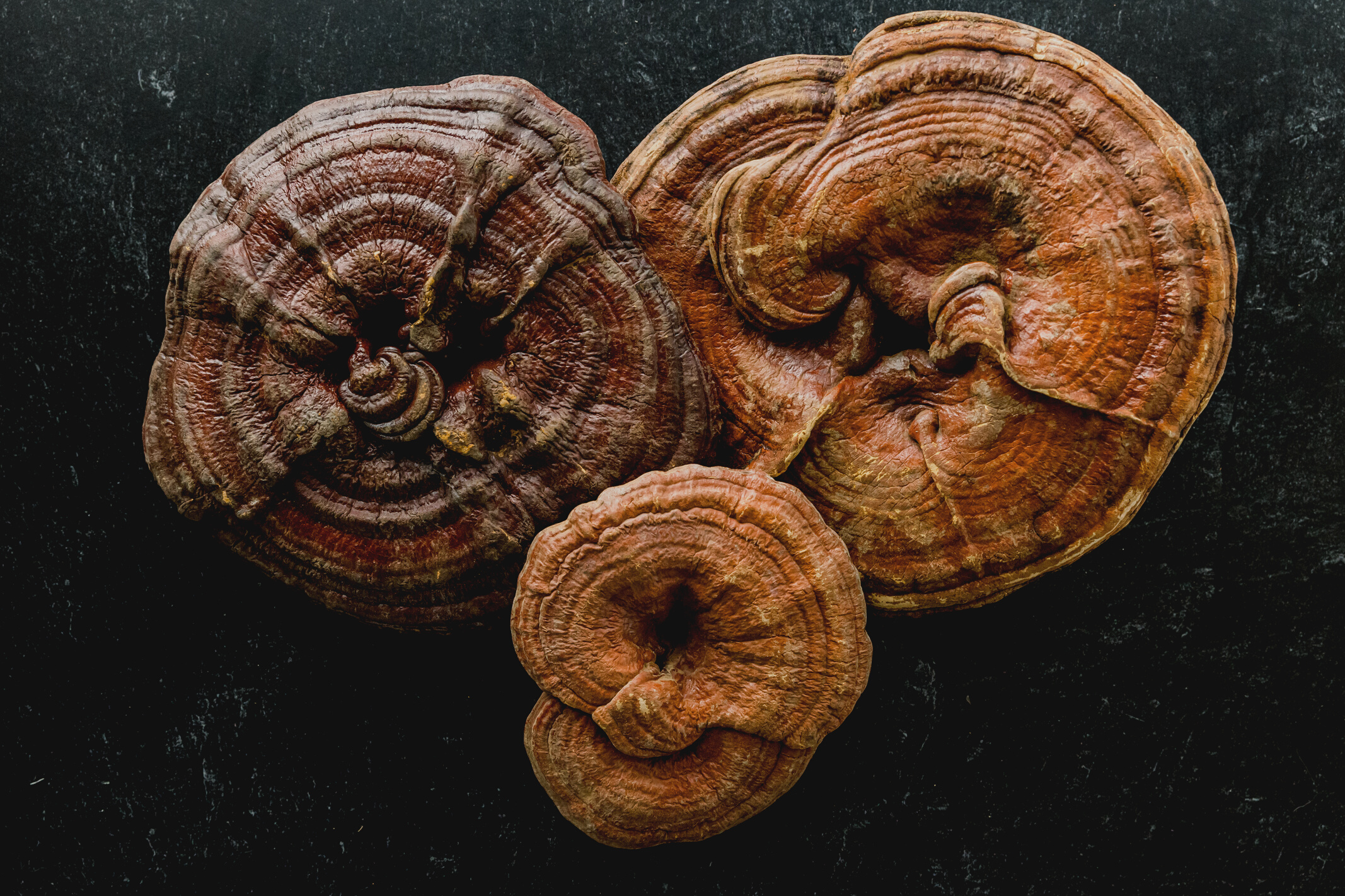 Reishi mushrooms
